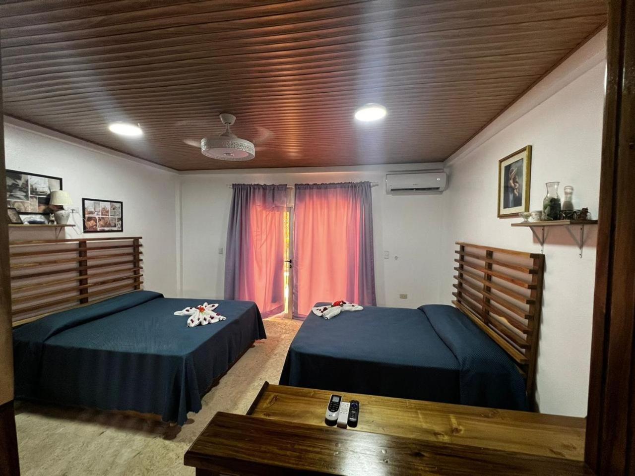 Piergiorgio Palace Hotel Puerto Plata Oda fotoğraf
